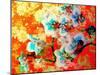 A Colorful Floral Montage-Alaya Gadeh-Mounted Photographic Print