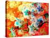 A Colorful Floral Montage-Alaya Gadeh-Stretched Canvas