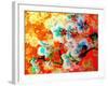 A Colorful Floral Montage-Alaya Gadeh-Framed Photographic Print