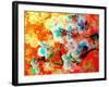 A Colorful Floral Montage-Alaya Gadeh-Framed Photographic Print