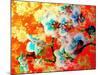 A Colorful Floral Montage-Alaya Gadeh-Mounted Photographic Print