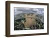 A Colorful Gorgonian Grows Off Turneffe Atoll in Belize-Stocktrek Images-Framed Photographic Print