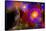 A Colorful Section of Alien Space in Our Galaxy-null-Framed Stretched Canvas