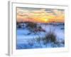 A Colorful Sunset over the Seaoats and Dunes on Fort Pickens Beach in the Gulf Islands National Sea-Colin D Young-Framed Photographic Print