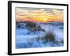 A Colorful Sunset over the Seaoats and Dunes on Fort Pickens Beach in the Gulf Islands National Sea-Colin D Young-Framed Photographic Print