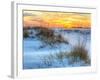 A Colorful Sunset over the Seaoats and Dunes on Fort Pickens Beach in the Gulf Islands National Sea-Colin D Young-Framed Photographic Print