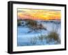 A Colorful Sunset over the Seaoats and Dunes on Fort Pickens Beach in the Gulf Islands National Sea-Colin D Young-Framed Photographic Print