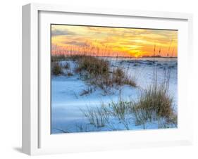 A Colorful Sunset over the Seaoats and Dunes on Fort Pickens Beach in the Gulf Islands National Sea-Colin D Young-Framed Photographic Print