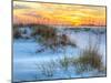 A Colorful Sunset over the Seaoats and Dunes on Fort Pickens Beach in the Gulf Islands National Sea-Colin D Young-Mounted Photographic Print