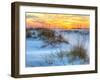 A Colorful Sunset over the Seaoats and Dunes on Fort Pickens Beach in the Gulf Islands National Sea-Colin D Young-Framed Premium Photographic Print