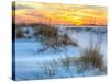 A Colorful Sunset over the Seaoats and Dunes on Fort Pickens Beach in the Gulf Islands National Sea-Colin D Young-Stretched Canvas