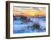 A Colorful Sunset over the Seaoats and Dunes on Fort Pickens Beach in the Gulf Islands National Sea-Colin D Young-Framed Photographic Print