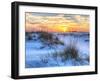 A Colorful Sunset over the Seaoats and Dunes on Fort Pickens Beach in the Gulf Islands National Sea-Colin D Young-Framed Photographic Print