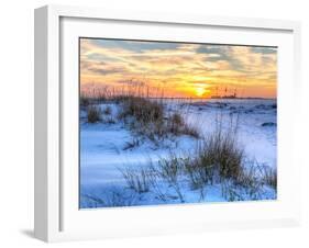 A Colorful Sunset over the Seaoats and Dunes on Fort Pickens Beach in the Gulf Islands National Sea-Colin D Young-Framed Photographic Print