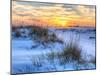 A Colorful Sunset over the Seaoats and Dunes on Fort Pickens Beach in the Gulf Islands National Sea-Colin D Young-Mounted Photographic Print