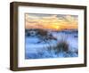 A Colorful Sunset over the Seaoats and Dunes on Fort Pickens Beach in the Gulf Islands National Sea-Colin D Young-Framed Photographic Print