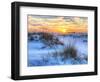 A Colorful Sunset over the Seaoats and Dunes on Fort Pickens Beach in the Gulf Islands National Sea-Colin D Young-Framed Photographic Print