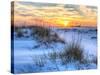 A Colorful Sunset over the Seaoats and Dunes on Fort Pickens Beach in the Gulf Islands National Sea-Colin D Young-Stretched Canvas