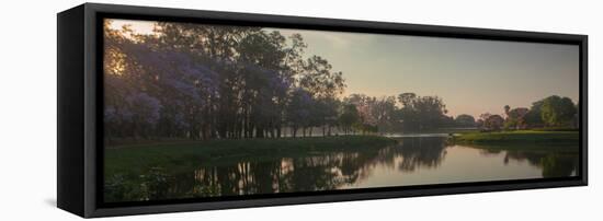 A Colorful Sunset with Trees in Bloom in Sao Paulo's Ibirapuera Park-Alex Saberi-Framed Stretched Canvas