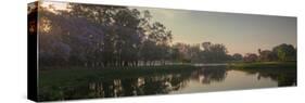 A Colorful Sunset with Trees in Bloom in Sao Paulo's Ibirapuera Park-Alex Saberi-Stretched Canvas