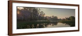 A Colorful Sunset with Trees in Bloom in Sao Paulo's Ibirapuera Park-Alex Saberi-Framed Photographic Print