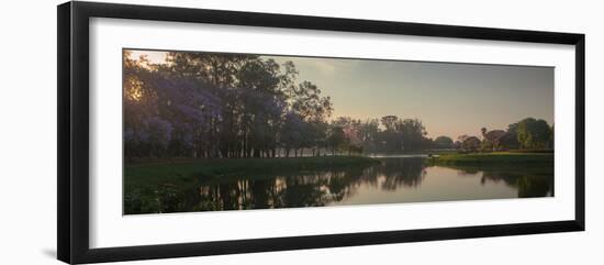 A Colorful Sunset with Trees in Bloom in Sao Paulo's Ibirapuera Park-Alex Saberi-Framed Photographic Print