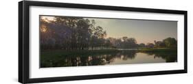 A Colorful Sunset with Trees in Bloom in Sao Paulo's Ibirapuera Park-Alex Saberi-Framed Photographic Print