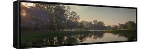 A Colorful Sunset with Trees in Bloom in Sao Paulo's Ibirapuera Park-Alex Saberi-Framed Stretched Canvas