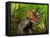 A Colorful Triceratops Wanders a Cretaceous Forest-Stocktrek Images-Framed Stretched Canvas