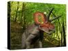 A Colorful Triceratops Wanders a Cretaceous Forest-Stocktrek Images-Stretched Canvas