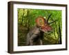 A Colorful Triceratops Wanders a Cretaceous Forest-Stocktrek Images-Framed Photographic Print