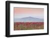 A Colourful Display of Poppies Above the Village of Sancerre in the Loire Valley-Julian Elliott-Framed Photographic Print