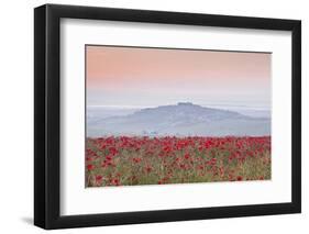 A Colourful Display of Poppies Above the Village of Sancerre in the Loire Valley-Julian Elliott-Framed Photographic Print