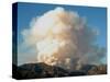 A Column of Smoke Rises from the Angeles National Forest Pines Fire-null-Stretched Canvas