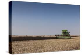 A Combine Harvester Harvests Corn, Maidenhead, Berkshire, England, United Kingdom, Europe-Charlie Harding-Stretched Canvas