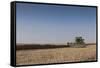 A Combine Harvester Harvests Corn, Maidenhead, Berkshire, England, United Kingdom, Europe-Charlie Harding-Framed Stretched Canvas