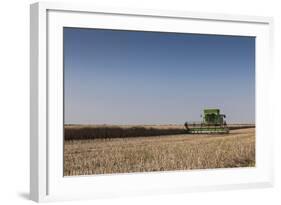 A Combine Harvester Harvests Corn, Maidenhead, Berkshire, England, United Kingdom, Europe-Charlie Harding-Framed Photographic Print