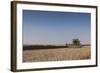 A Combine Harvester Harvests Corn, Maidenhead, Berkshire, England, United Kingdom, Europe-Charlie Harding-Framed Photographic Print