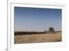 A Combine Harvester Harvests Corn, Maidenhead, Berkshire, England, United Kingdom, Europe-Charlie Harding-Framed Photographic Print