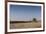 A Combine Harvester Harvests Corn, Maidenhead, Berkshire, England, United Kingdom, Europe-Charlie Harding-Framed Photographic Print