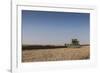 A Combine Harvester Harvests Corn, Maidenhead, Berkshire, England, United Kingdom, Europe-Charlie Harding-Framed Photographic Print