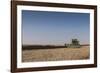 A Combine Harvester Harvests Corn, Maidenhead, Berkshire, England, United Kingdom, Europe-Charlie Harding-Framed Photographic Print