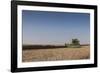 A Combine Harvester Harvests Corn, Maidenhead, Berkshire, England, United Kingdom, Europe-Charlie Harding-Framed Photographic Print