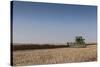 A Combine Harvester Harvests Corn, Maidenhead, Berkshire, England, United Kingdom, Europe-Charlie Harding-Stretched Canvas