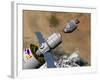 A Command Module Prepares to Dock with a Phobos Mission Rocket in Earth Orbit-Stocktrek Images-Framed Photographic Print
