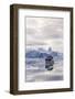 A Commercial Iceberg Tour Amongst Huge Icebergs Calved from the Ilulissat Glacier-Michael-Framed Photographic Print