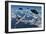 A Commerical Flight Boeing 747 Being Stalked by Ufo'S-null-Framed Art Print