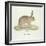 A Common Hare-Werner-Framed Giclee Print