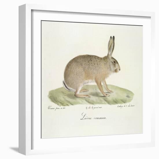 A Common Hare-Werner-Framed Giclee Print