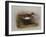 A Common Sandpiper-Archibald Thorburn-Framed Giclee Print